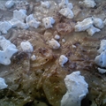 Scalloped Potatoes with Goat Cheese And Herbs De Province 