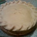 Serious Turkey Pot-Pie