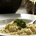 Shrimp Risotto