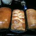 Simple Whole Wheat Bread