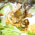 Slow Cooker Chicken Burritos