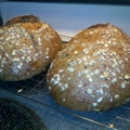 Sourdough Oat Bread