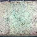 Spicy Avocado Chicken Enchiladas