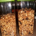 Spicy Granola (no oil)