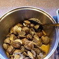 Steamed Clams