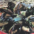 Steamed Mussels in White Wine