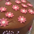 Strawberry Ice-Cream Cake covered in chocolate ganache