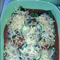 Stuffed Poblano Peppers