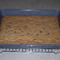 Surprise Oatmeal Cookies