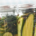 Sweet and Dillyiscious Picklesv