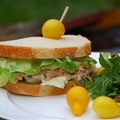 Tangy Lobster Sandwich