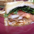 TBC's Spicy Bomb-Tastic Buffalo Ladybird