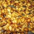 Toasted Pumpkin Seeds