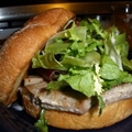 Tuna Burgers