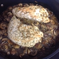 Turkey Tenderloin W/tarragon Mushroom Gravy