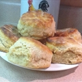 Ultra Grain Hard Whole Wheat Raisin Biscuits (Telln)