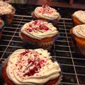Vanilla Frosting and Chocolate Chip Cupcakes