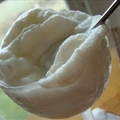 Vanilla Gelato