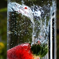 Very Berry Juice