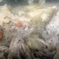 Vince's Crock Pot Chicken Soup