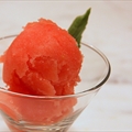 Watermelon Sorbet