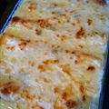 White Chicken Enchiladas