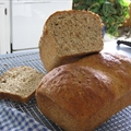 Whole-Wheat Bread