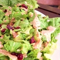 Winter Green Salad with Cranberry Vinaigrette