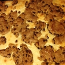 Chocolate Chip Cheesecake Bars Chocolate Chip Cheesecake Bars