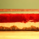 Dessert and Gelatin recipes
