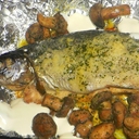 Trout and Mushrooms in Cream Trout and Mushrooms in Cream