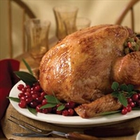 Apple Brined and Barbecued Turkey with Pan Gravy