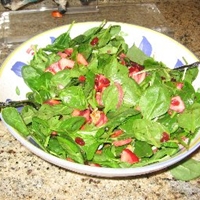 Apple, Walnut, and Mixed Greens Salad with Zinfandel-cranberry Vinaigrette