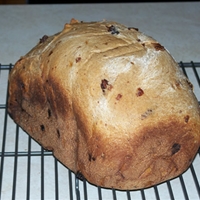 Applesauce Bread for the Bread Machine