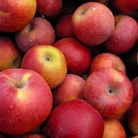 Applicious Dip