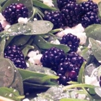 Baby Spinach Blackberries Salad