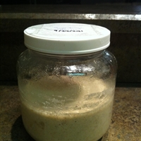 Bills Sourdough Starter