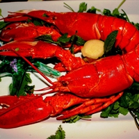 BIMINI STYLE-LOBSTER CEVICHE