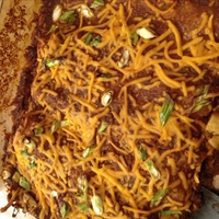 Black Bean and Cheese Enchiladas with Ranchero Sauce
