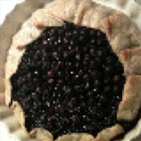 Blueberry Galette