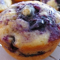 Blueberry Muffins Blueberry Muffins