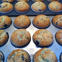 Blueberry and Sour Cream Muffins