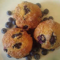 Blueberry Yogurt Muffins