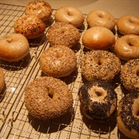 Bodacious Bagels Bodacious Bagels