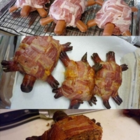 Braai Turtles