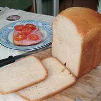Bread Machine Bread
