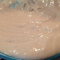 Burger King Zesty Onion Ring Sauce Burger King Zesty Onion Ring Sauce