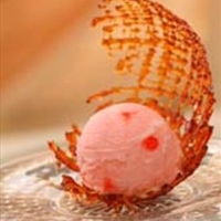 Caramel Cage Covers For Ice Cream
