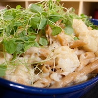Cauliflower Mac N Cheese