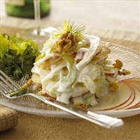 Chavrie Fennel Apple Salad